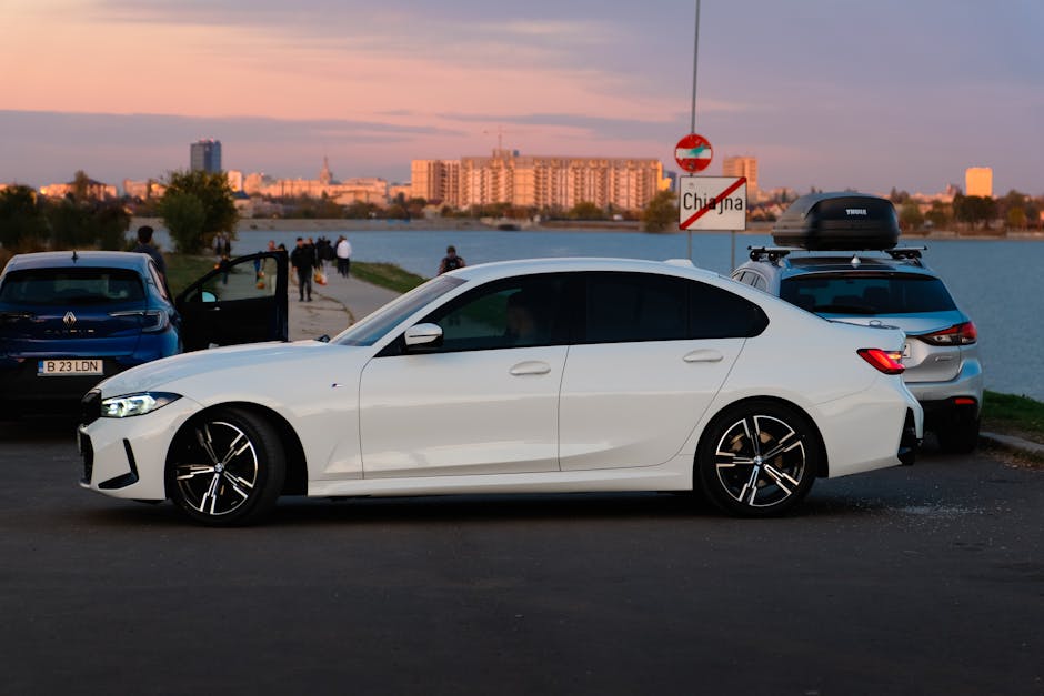 文化活動香港的重要性與發展